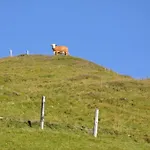 Wallnerhuette Iii Astenblick Vakantiehuis Mörtschach