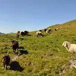 Wallnerhuette Iii Astenblick Mörtschach