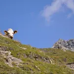 Wallnerhuette Iii Astenblick Vakantiehuis *