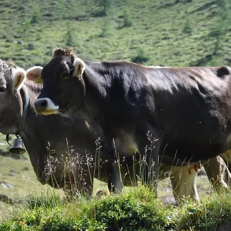 Wallnerhütte Iii Astenblick