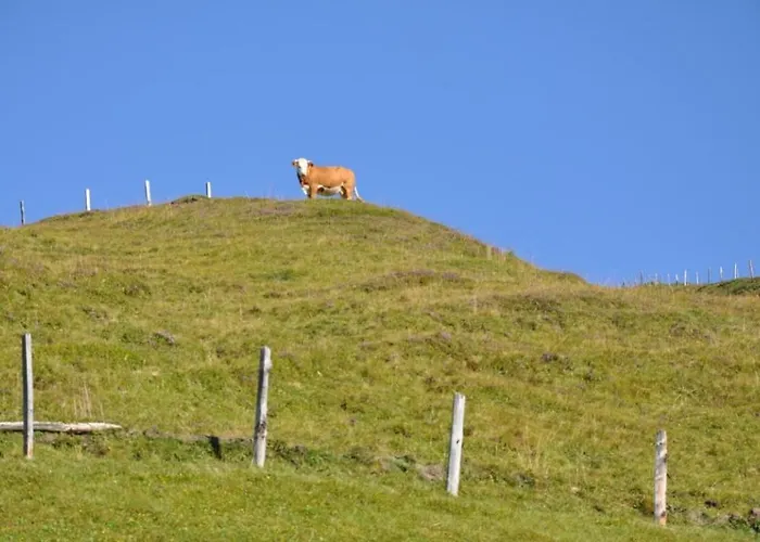 Wallnerhuette Iii Astenblick Feriehus Mörtschach