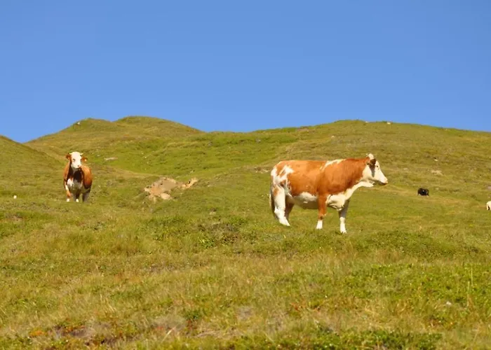 別荘 Wallnerhuette Iii Astenblick