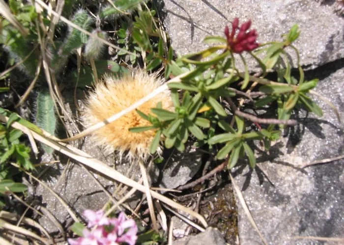 Wallnerhuette Iii Astenblick 別荘