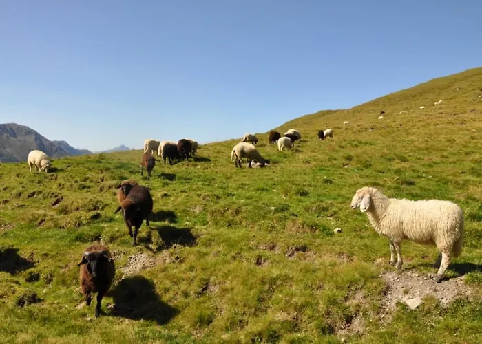 Wallnerhuette Iii Astenblick Mörtschach