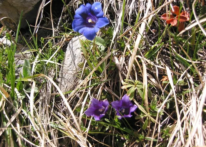 Wallnerhuette Iii Astenblick 別荘