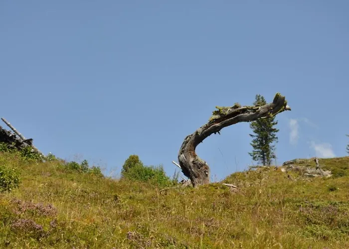 Feriehus Wallnerhuette Iii Astenblick