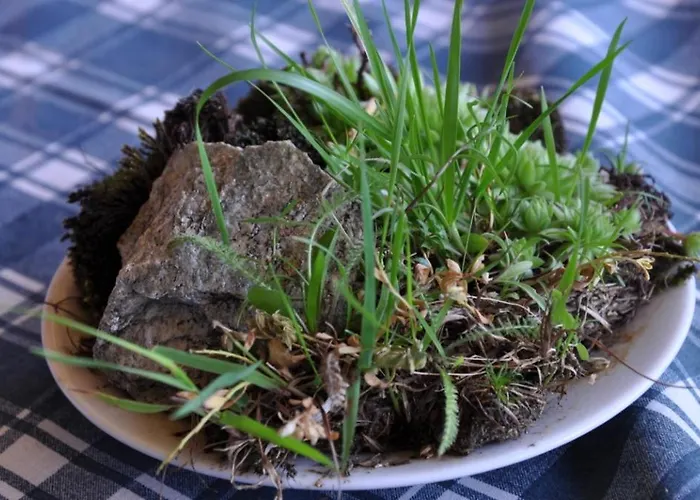 Wallnerhuette Iii Astenblick