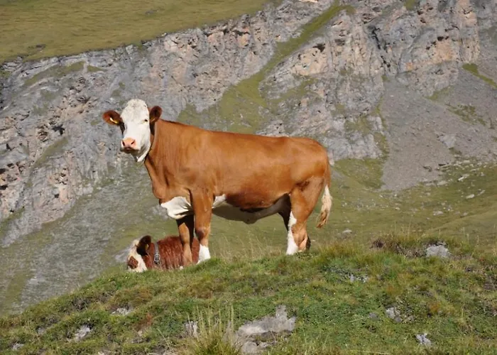 Wallnerhuette Iii Astenblick Mörtschach