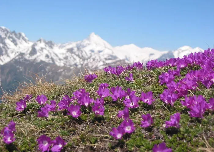 別荘 Wallnerhuette Iii Astenblick *