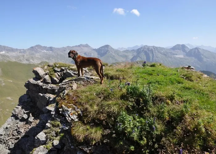 Wallnerhuette Iii Astenblick 別荘