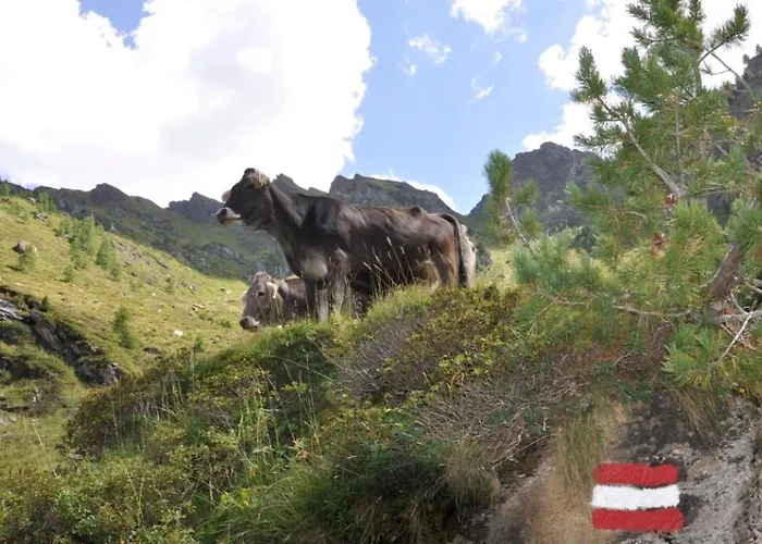 Wallnerhuette Iii Astenblick Feriehus *