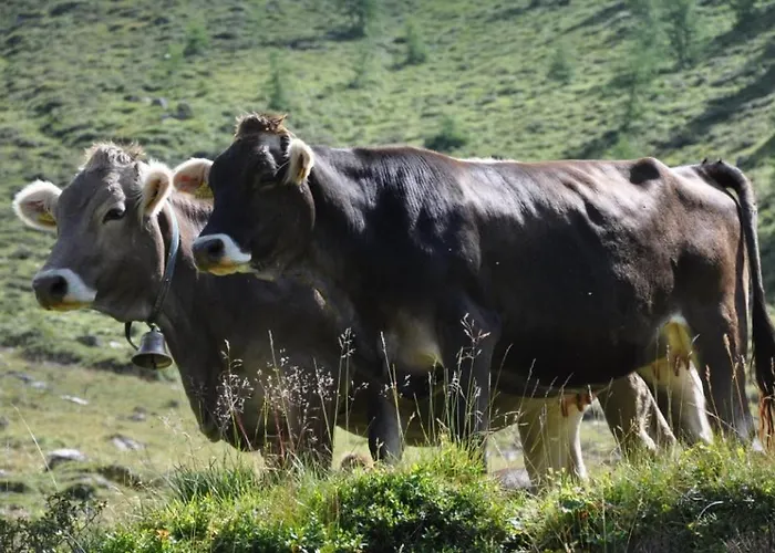 Wallnerhuette Iii Astenblick