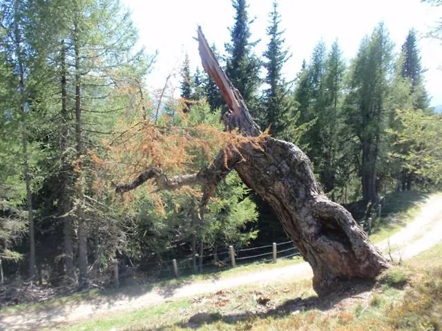 Wallnerhuette Iii Astenblick Feriehus