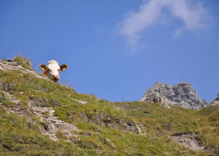 Wallnerhütte Iii Astenblick Ferienhaus *