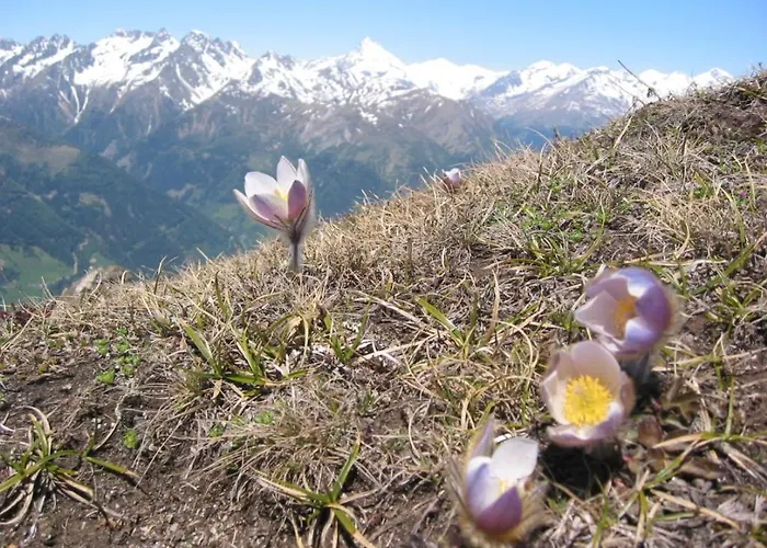 Wallnerhuette Iii Astenblick Feriehus *